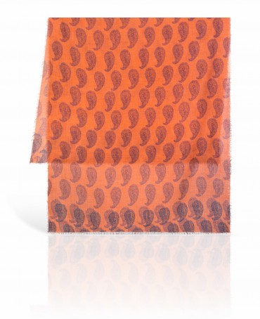 Палантин Унисекс W70.TW4-SK48/BR